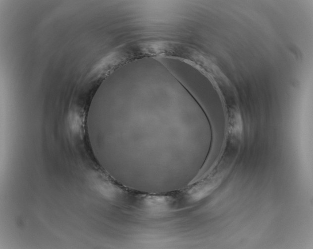 X0000112010332200908031312