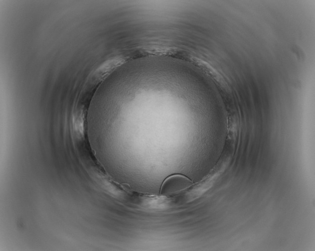 X0000112010334200908031312