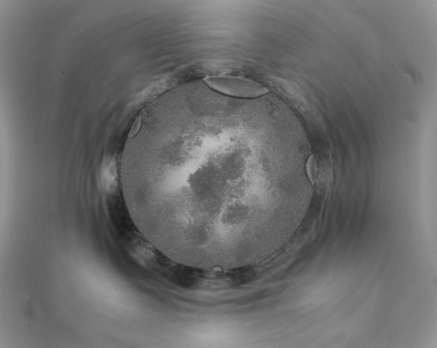 X0000112010335200908031312