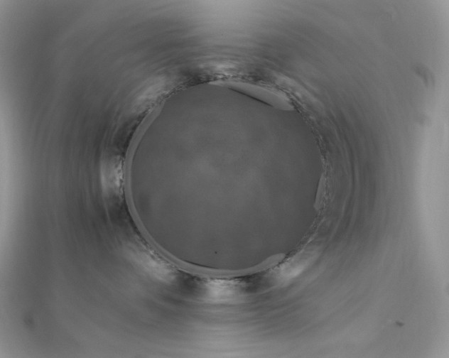 X0000112010336200908031312