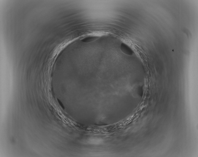 X0000112010337200908031311