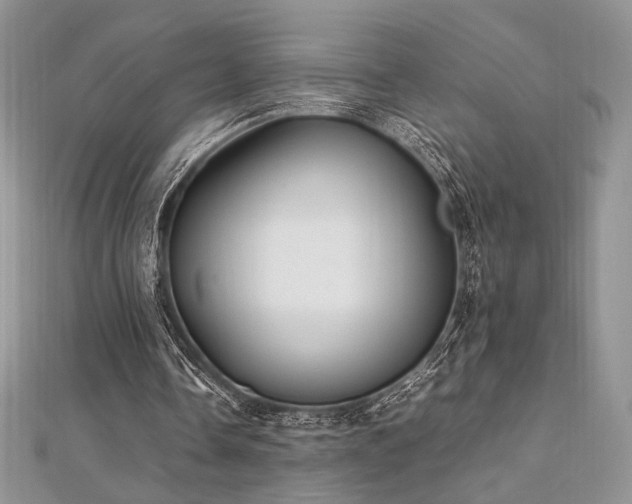 X0000112010338200908031311