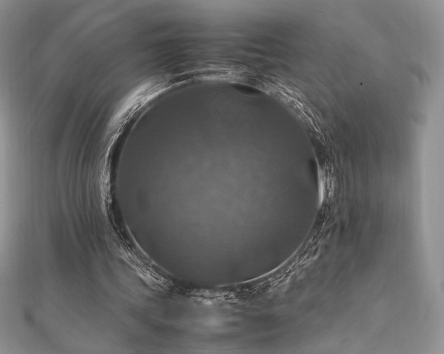 X0000112010339200908031311