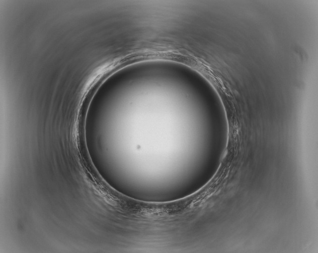 X0000112010340200908031311