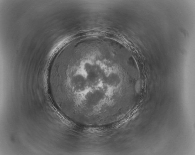 X0000112010341200908031311