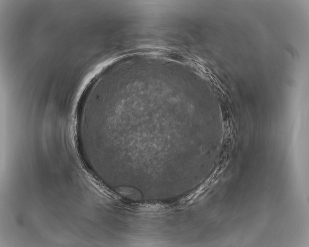 X0000112010342200908031311