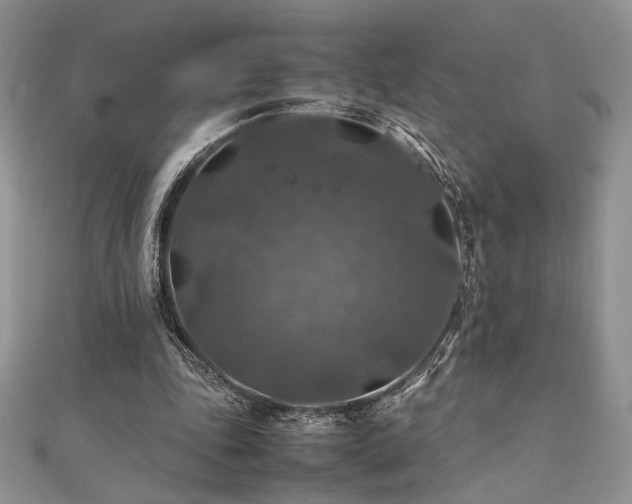 X0000112010343200908031311