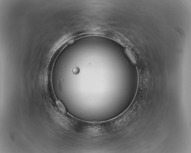 X0000112010344200908031311