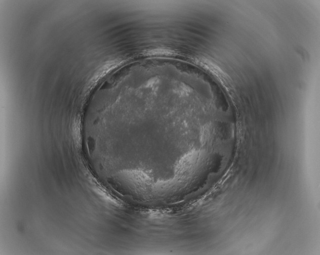 X0000112010345200908031311