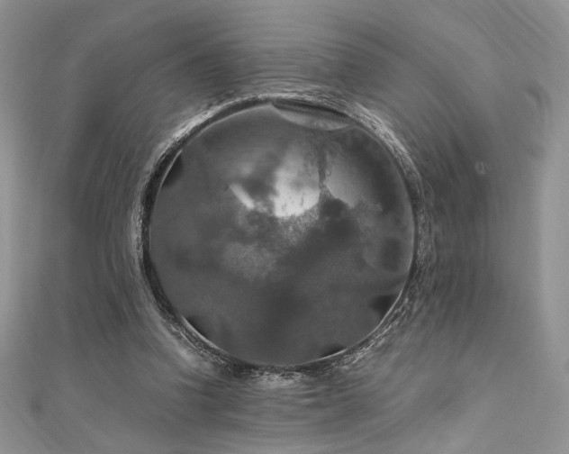 X0000112010346200908031311