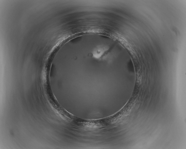 X0000112010347200908031311