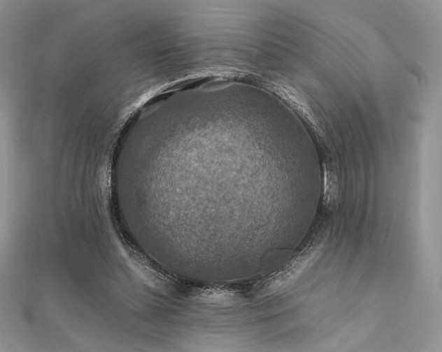 X0000112010348200908031311