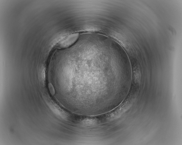 X0000112010350200908031311