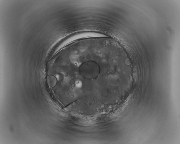 X0000112010351200908031311