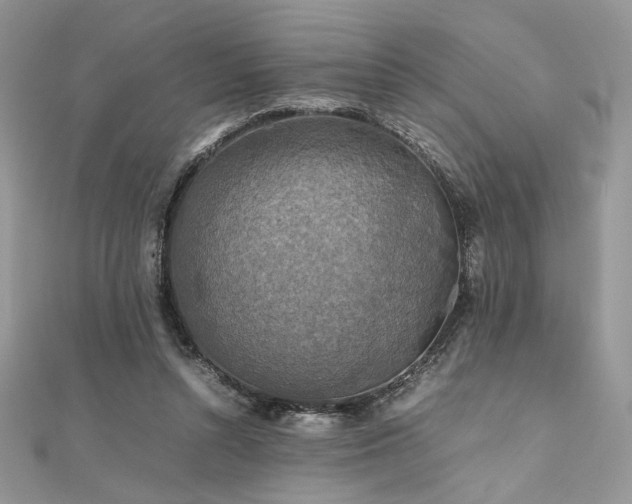 X0000112010352200908031311