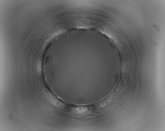 X0000112010353200908031311