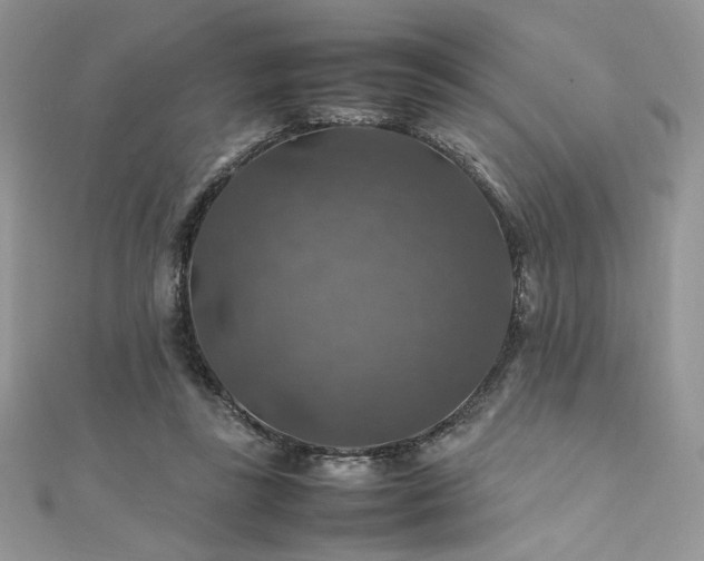 X0000112010355200908031311