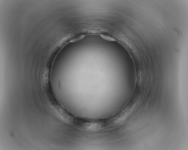 X0000112010356200908031311