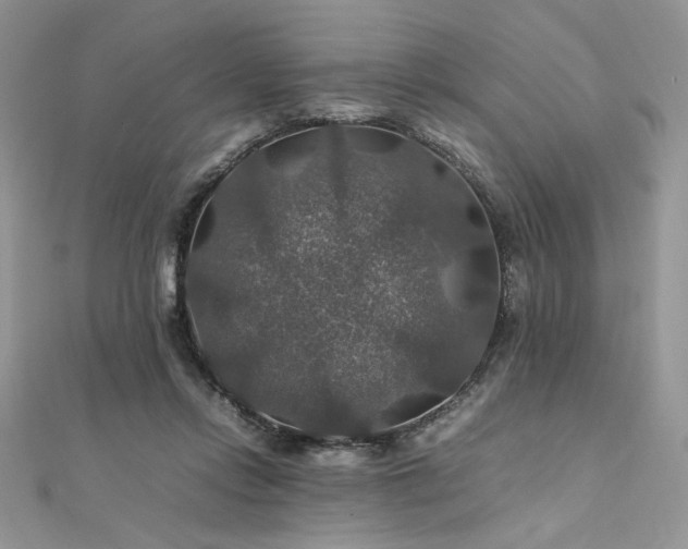 X0000112010358200908031311