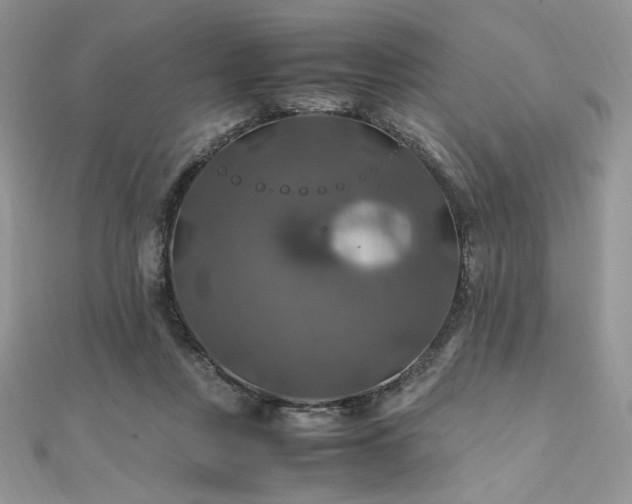 X0000112010359200908031311