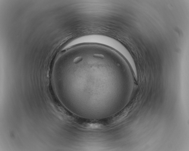 X0000112010360200908031311