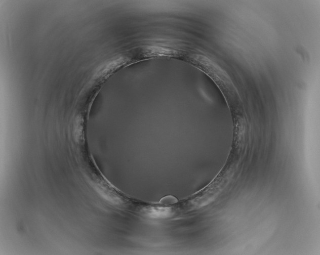 X0000112010361200908031311