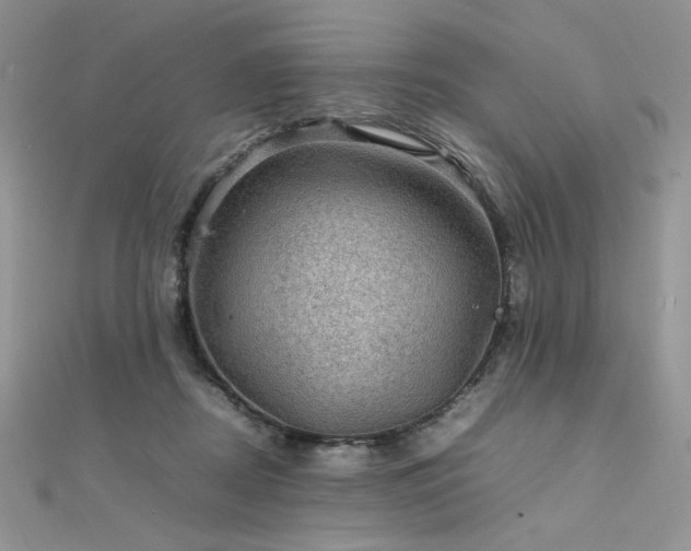 X0000112010362200908031311