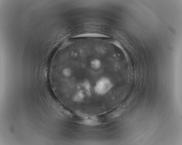 X0000112010363200908031311