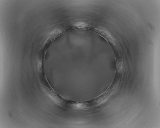 X0000112010365200908031311