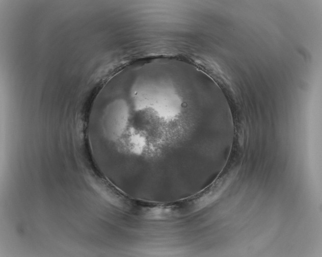 X0000112010366200908031311