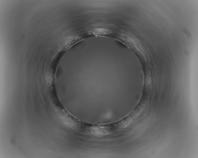 X0000112010367200908031311