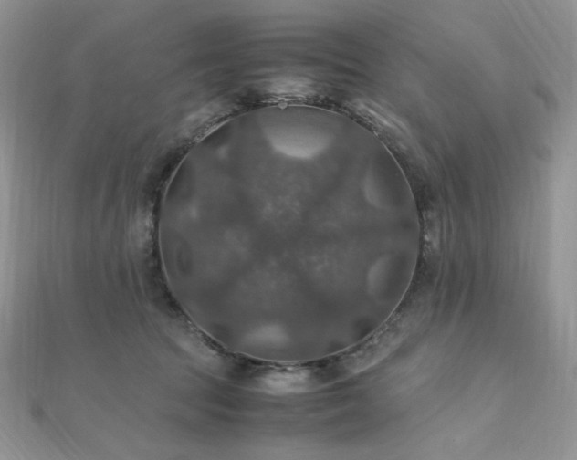 X0000112010369200908031311