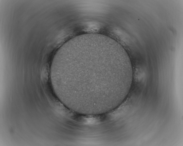 X0000112010370200908031311