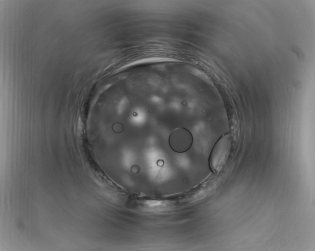 X0000112010371200908031311