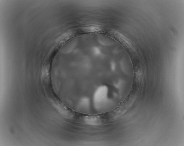 X0000112010373200908031311