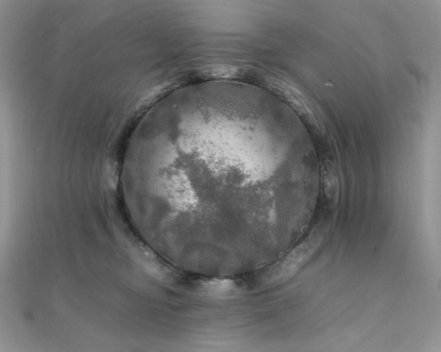 X0000112010374200908031311