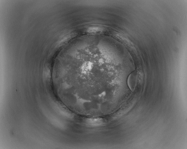 X0000112010375200908031312