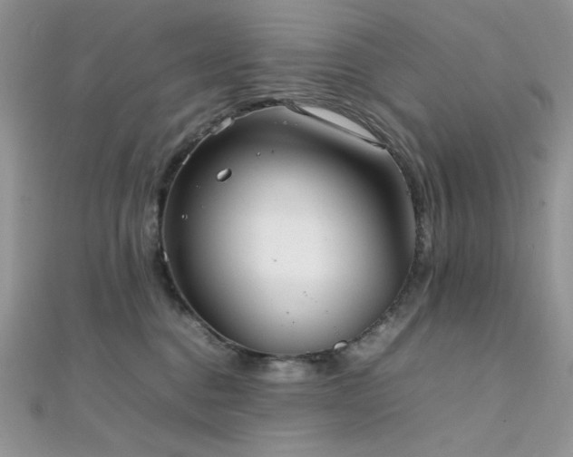 X0000112010376200908031312