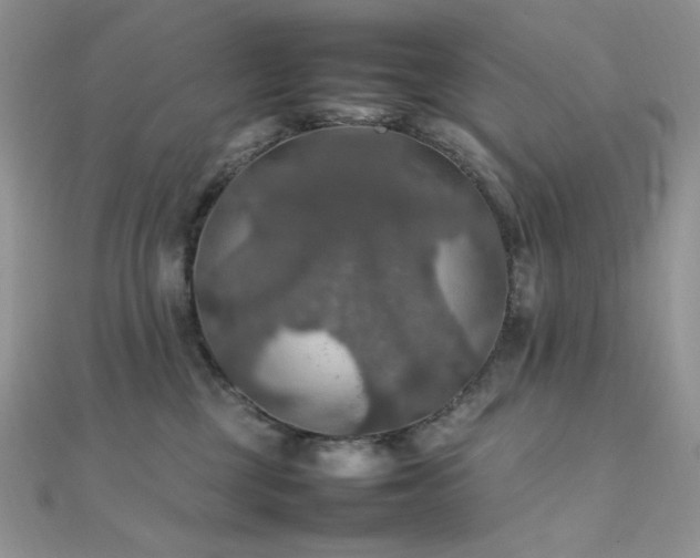 X0000112010377200908031312