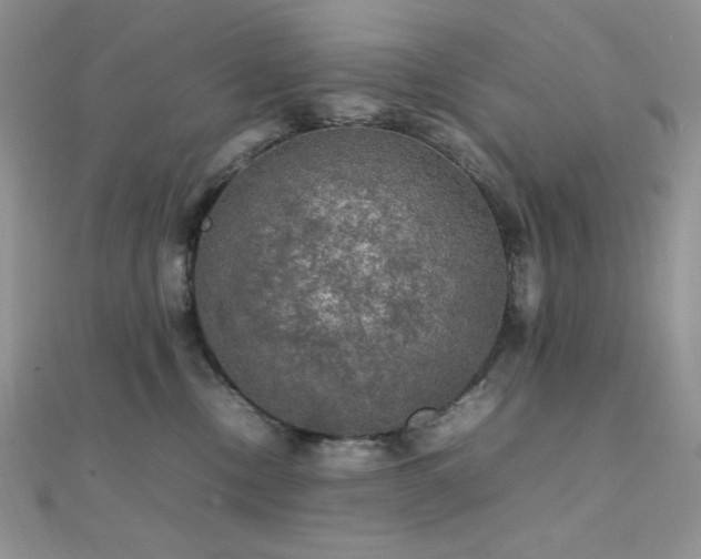 X0000112010378200908031312