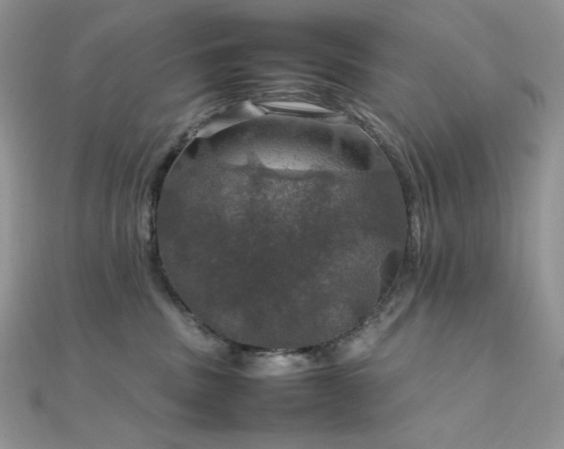 X0000112010379200908031312