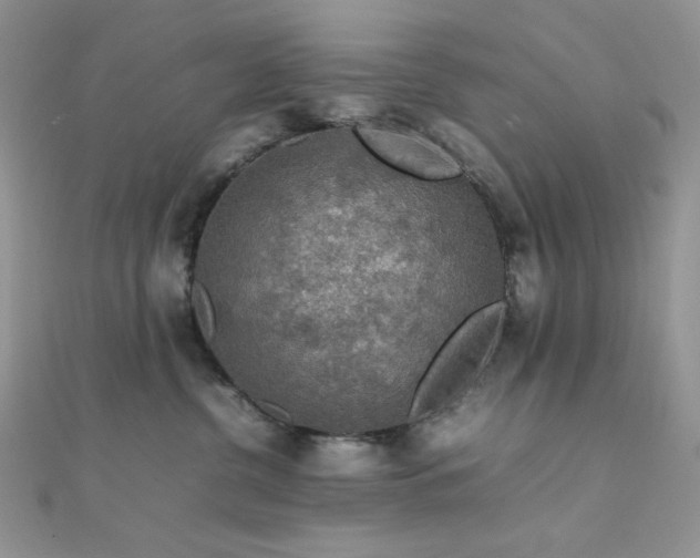 X0000112010380200908031312