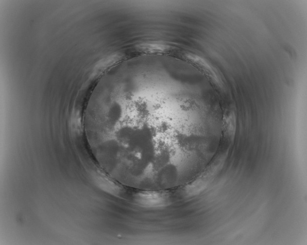 X0000112010381200908031312