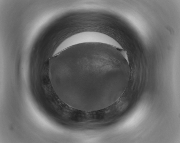 X0000112010383200908031312