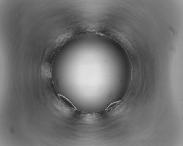 X0000112010384200908031312