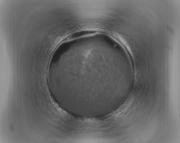 X0000112010385200908031311