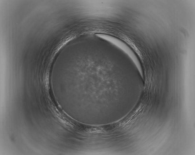 X0000112010386200908031311