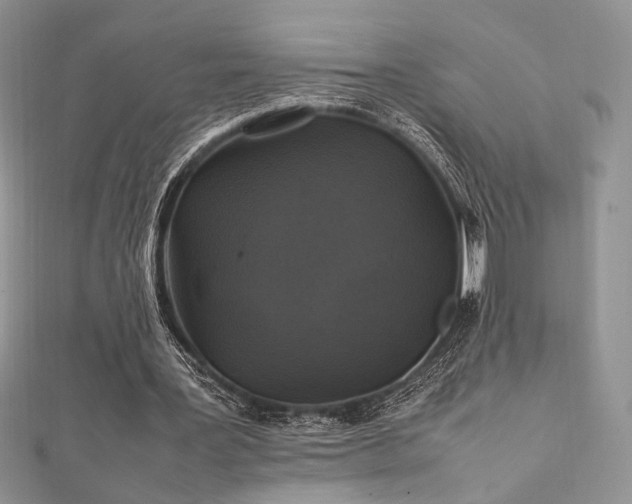 X0000112010387200908031311