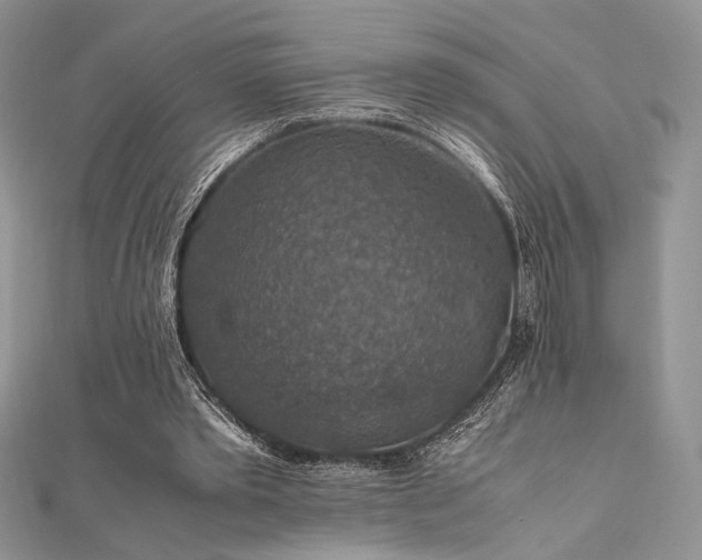 X0000112010389200908031311