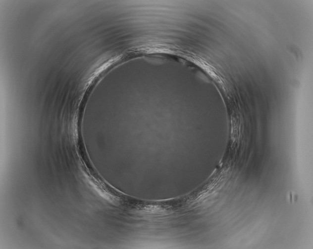 X0000112010390200908031311